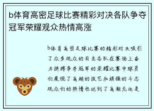 b体育高密足球比赛精彩对决各队争夺冠军荣耀观众热情高涨