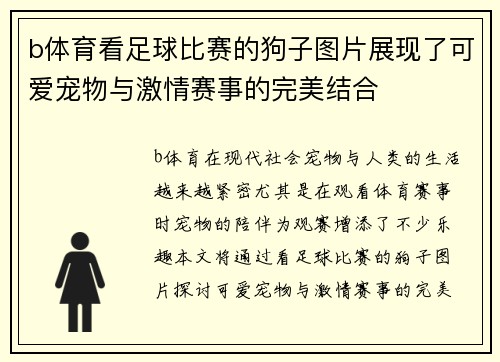 b体育看足球比赛的狗子图片展现了可爱宠物与激情赛事的完美结合